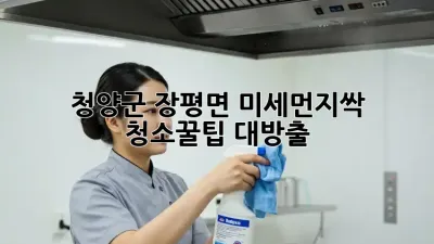 청양군 장평면🏡 미세먼지🧹싹! 청소꿀팁 대방출✨