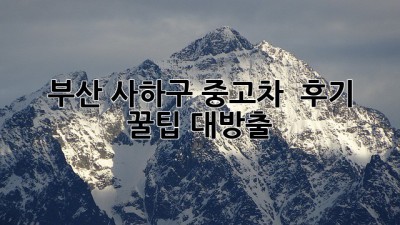 부산 사하구 중고차 🚗💨 후기: 꿀팁 대방출!